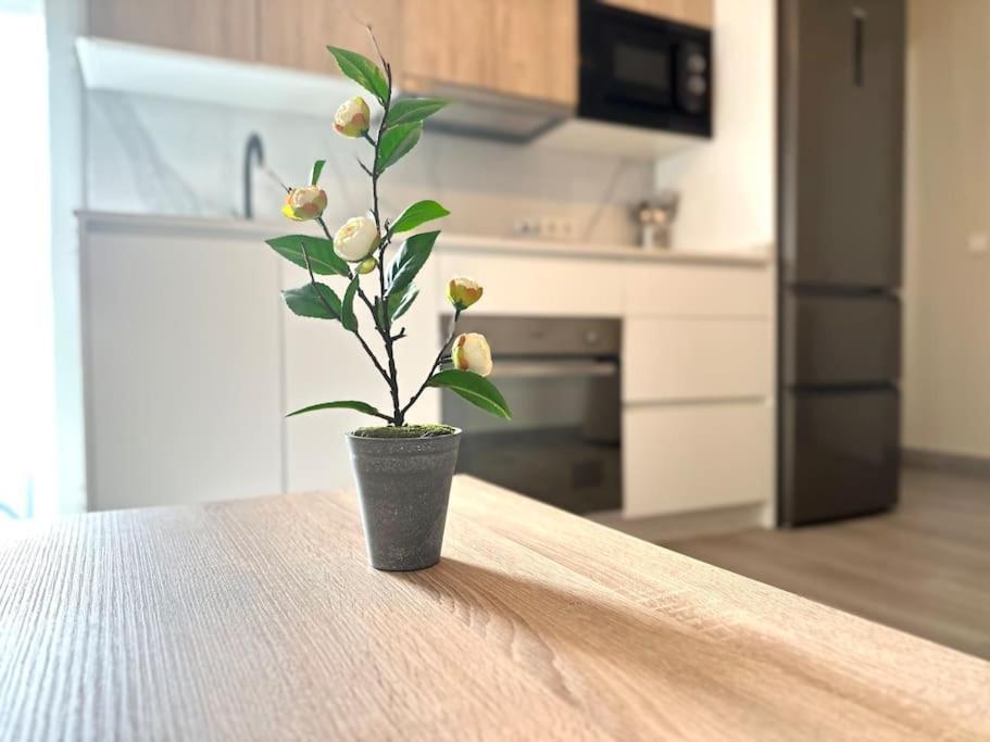 Apartament Rincon Andaluz 4